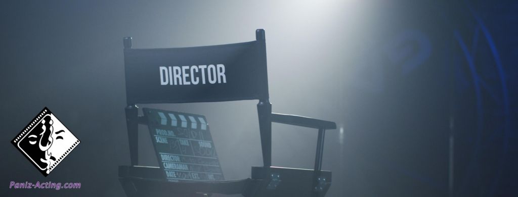 کارگردانی حرفه ای